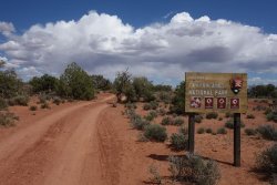 DSC02981 (Copy).jpg DSC02981 (Copy).jpg