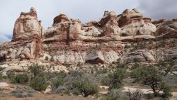 DSC03282_20pcn.jpg DSC03282_20pcn.jpg