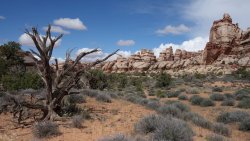 DSC03295_20pcn.jpg DSC03295_20pcn.jpg