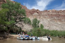 DSC03574_20pcn.jpg DSC03574_20pcn.jpg