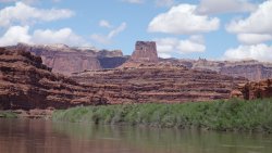 DSC03601_20pcn.jpg DSC03601_20pcn.jpg