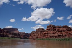 DSC03604_20pcn.jpg DSC03604_20pcn.jpg