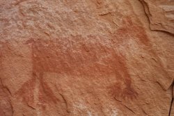 DSC03408 (Copy).jpg DSC03408 (Copy).jpg