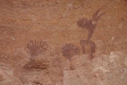 DSC03417 (Copy).jpg DSC03417 (Copy).jpg