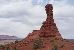 DSC02246.jpg DSC02246.jpg