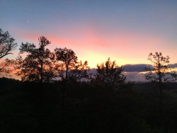 44C7DBDF-DFB1-44BD-8A05-16A9B01AEBD2.jpeg 44C7DBDF-DFB1-44BD-8A05-16A9B01AEBD2.jpeg