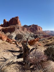 59EE305F-50E4-4685-BFA3-1848C59F4F92.jpeg 59EE305F-50E4-4685-BFA3-1848C59F4F92.jpeg