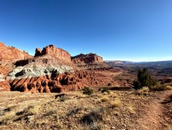 895D54DB-328E-4C32-AA46-18214E70C722.jpeg 895D54DB-328E-4C32-AA46-18214E70C722.jpeg