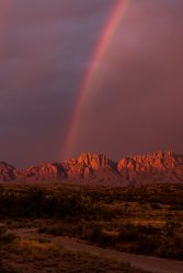 DSC04685-4.jpg DSC04685-4.jpg