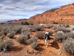 IMG_20200229_110935897_HDR (1).jpg IMG_20200229_110935897_HDR (1).jpg