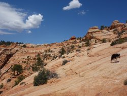 DSC01438.jpg DSC01438.jpg