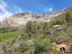 20200531_120640.jpg 20200531_120640.jpg