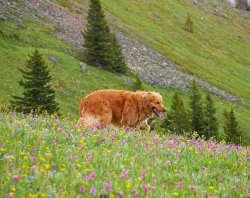 P1190305-copy-2.jpg P1190305-copy-2.jpg