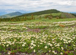 P1190350-copy-2.jpg P1190350-copy-2.jpg