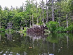 743BF7D8-BD38-4F02-A321-726017C78224.jpeg 743BF7D8-BD38-4F02-A321-726017C78224.jpeg