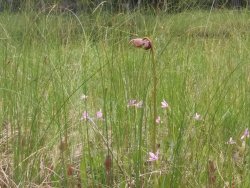 B854903F-F121-4BE2-B453-70A3FCE4CF0F.jpeg B854903F-F121-4BE2-B453-70A3FCE4CF0F.jpeg