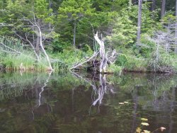 14EA7578-291A-420A-B059-37472D3FF727.jpeg 14EA7578-291A-420A-B059-37472D3FF727.jpeg