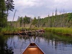 D94D4FFE-8D85-4C3C-8B0B-F43CF84B1998.jpeg D94D4FFE-8D85-4C3C-8B0B-F43CF84B1998.jpeg