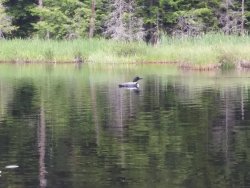 172F238C-D943-47E5-8F31-5A1203212D3A.jpeg 172F238C-D943-47E5-8F31-5A1203212D3A.jpeg