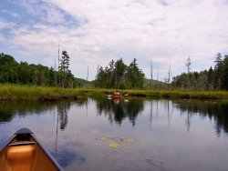 B5DD4038-2B0F-4079-9D57-F3114BF1B965.jpeg B5DD4038-2B0F-4079-9D57-F3114BF1B965.jpeg