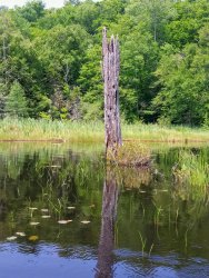 1F331F42-272F-4231-95C2-4CE29E37D0ED.jpeg 1F331F42-272F-4231-95C2-4CE29E37D0ED.jpeg