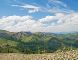 _1190500-copy-2.jpg _1190500-copy-2.jpg