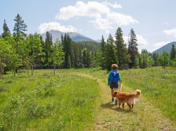 _1190504-copy-2.jpg _1190504-copy-2.jpg