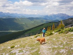 _1190506-copy-2.jpg _1190506-copy-2.jpg