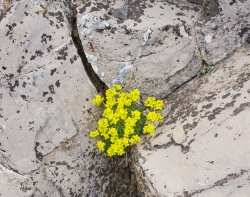 _1190516-copy-2.jpg _1190516-copy-2.jpg