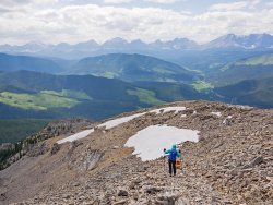 _1190543-copy-2.jpg _1190543-copy-2.jpg