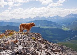 _1190556-copy-2.jpg _1190556-copy-2.jpg