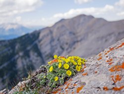 _1190563-copy-2.jpg _1190563-copy-2.jpg