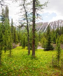 _1190644-copy-2.jpg _1190644-copy-2.jpg