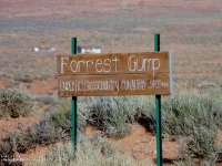 ForrestGump.jpg