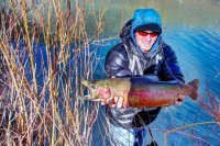 uploadfromtaptalk1364917075148.jpg uploadfromtaptalk1364917075148.jpg