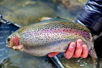 uploadfromtaptalk1364917101690.jpg uploadfromtaptalk1364917101690.jpg