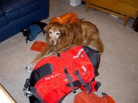 P2107201ed (Large).jpg