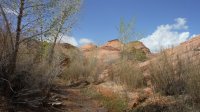 Coyote Gulch April 4-7-2013 022.JPG