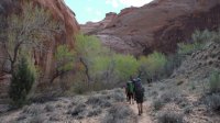 Coyote Gulch April 4-7-2013 023.JPG