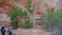 Coyote Gulch April 4-7-2013 031.JPG