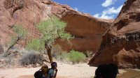 Coyote Gulch April 4-7-2013 042.JPG