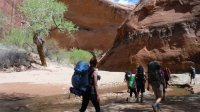 Coyote Gulch April 4-7-2013 044.JPG