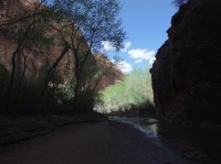 Coyote Gulch April 4-7-2013 050.JPG