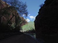 Coyote Gulch April 4-7-2013 051.JPG