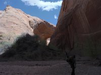 Coyote Gulch April 4-7-2013 053.JPG