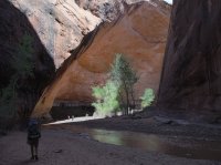 Coyote Gulch April 4-7-2013 056.JPG