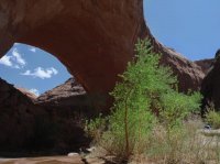 Coyote Gulch April 4-7-2013 064.JPG