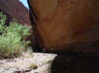 Coyote Gulch April 4-7-2013 065.JPG