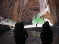 Coyote Gulch April 4-7-2013 078.JPG