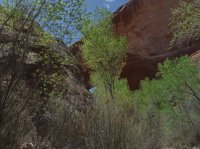 Coyote Gulch April 4-7-2013 080.JPG